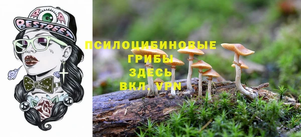 марки lsd Арсеньев
