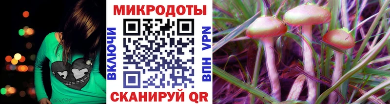 ОМГ ОМГ ТОР  Бородино  Псилоцибиновые грибы мицелий 